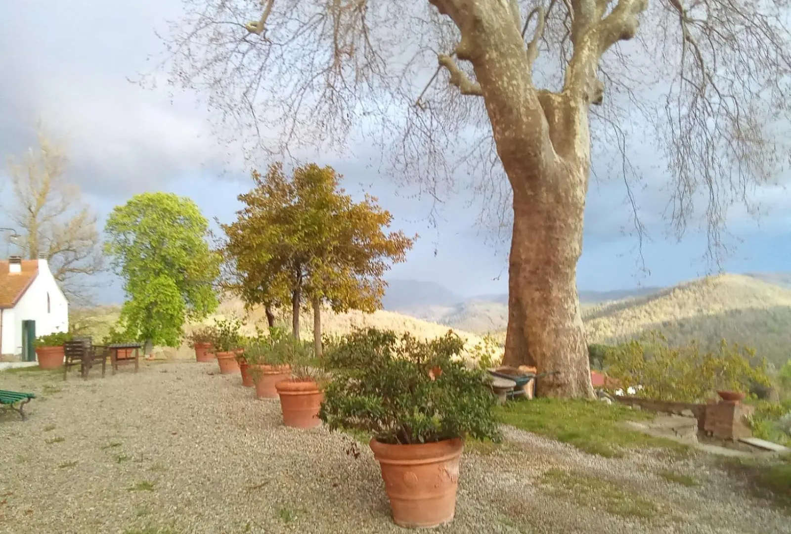 Appartamento Agriturismo Montevaso Arti e Teatro Chianni