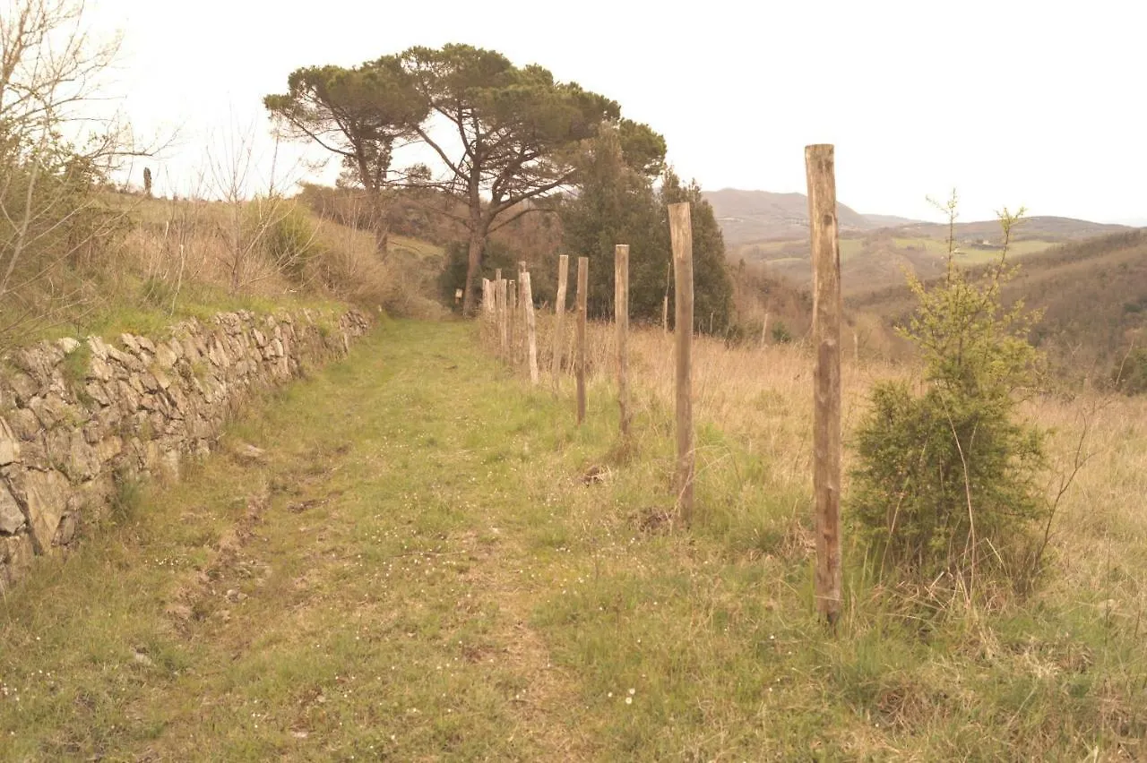 Appartamento Agriturismo Montevaso Arti e Teatro Chianni